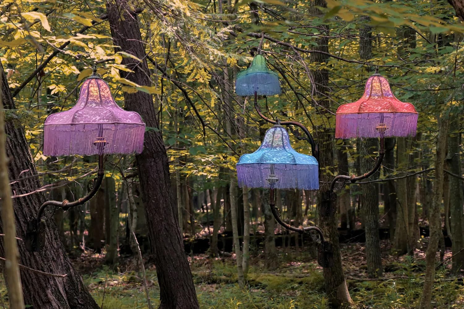Symmetry Festival - Fungal Bodies